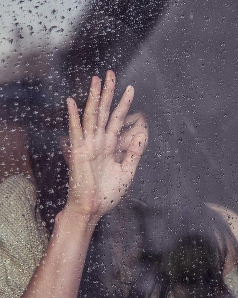 Freelance Web Developer